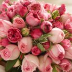 Discover the Beauty of Fun Flowers – Riga’s Leading Online Flower Shop