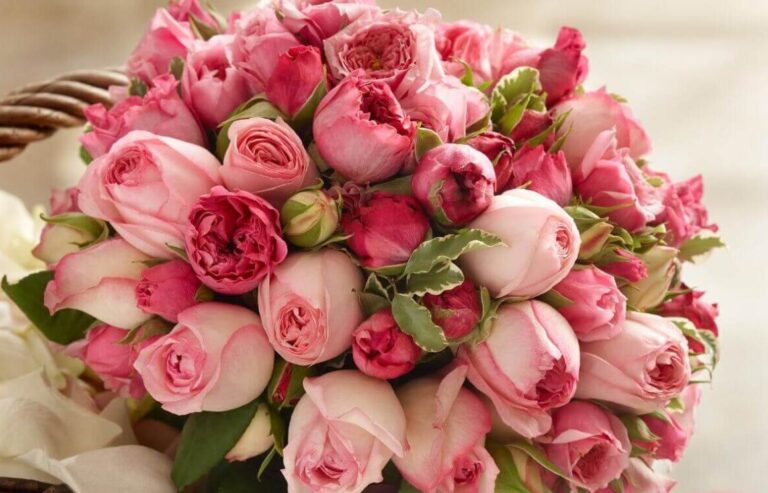 Discover the Beauty of Fun Flowers – Riga’s Leading Online Flower Shop